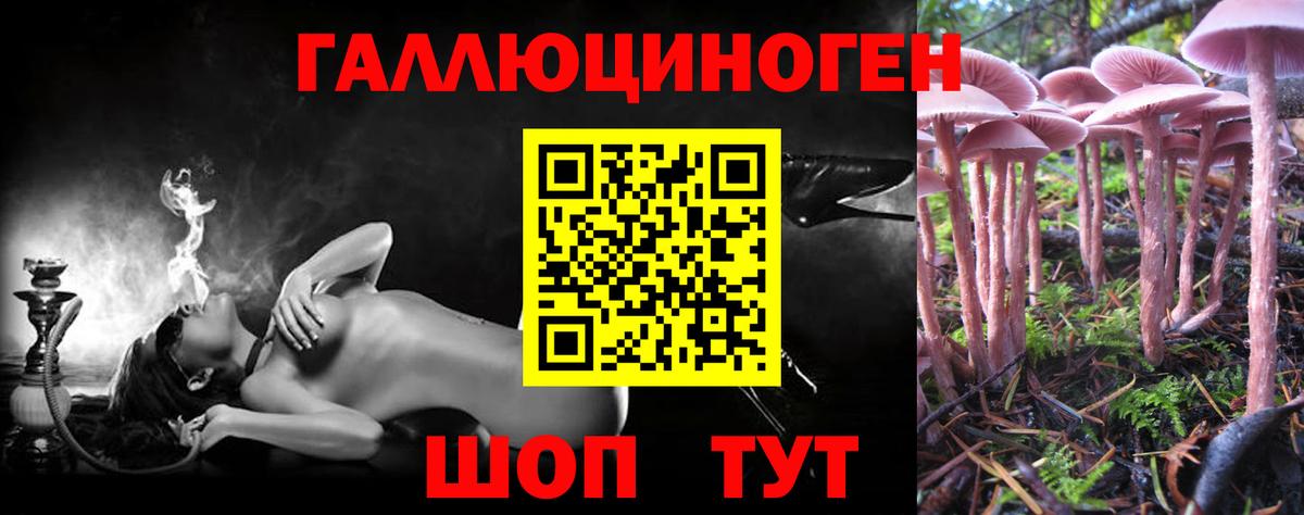 наркота  Галлюциногенные грибы Psilocybine cubensis  Вход с VPN  Уварово 